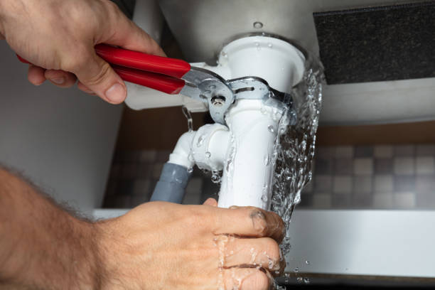 Best Mold removal after water damage  in Susitna North, AK
