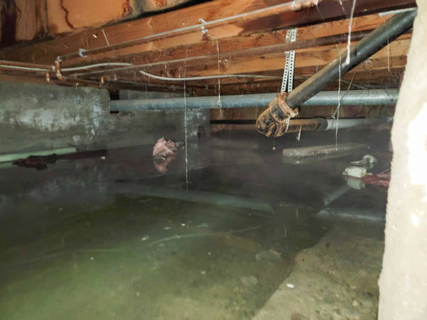 Best 24-hour water damage restoration  in Susitna North, AK