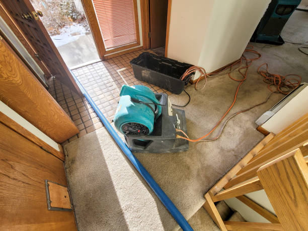 Best Ceiling water damage repair  in Susitna North, AK