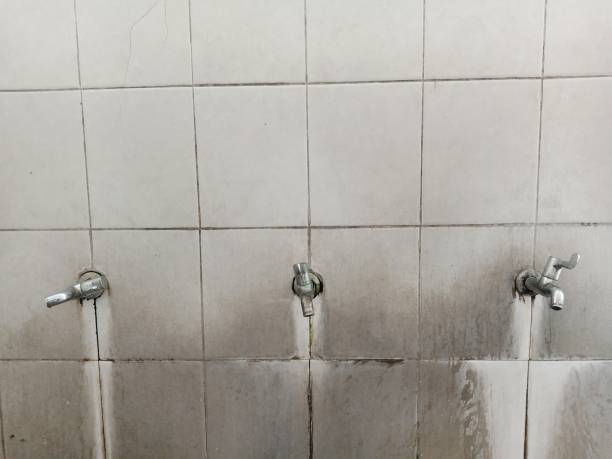 Best Residential water damage restoration  in Susitna North, AK
