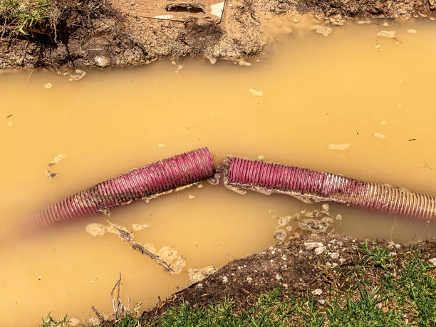 Best Basement water damage restoration  in Susitna North, AK